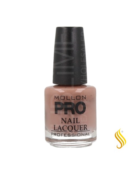 Mollon Pro Vernis à Ongles Durcissant Couleur 288 15 ml