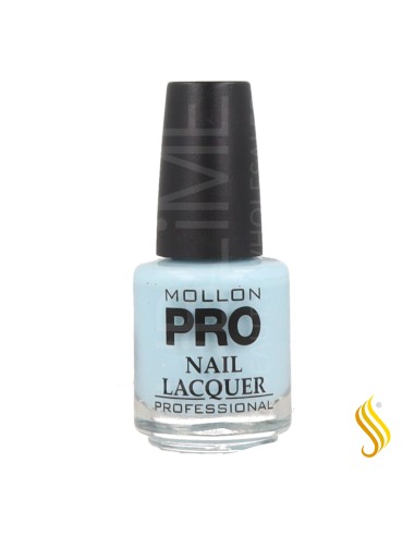 Mollon Pro Hardening Nail Lacquer Color 340 15ml