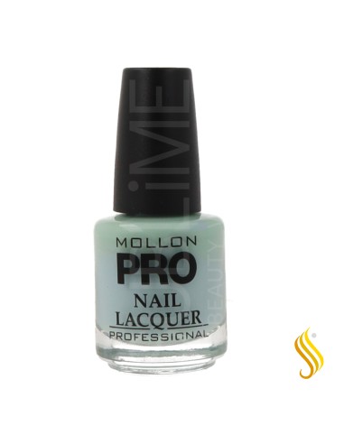 Mollon Pro Hardening Nail Lacquer Color 338 15ml