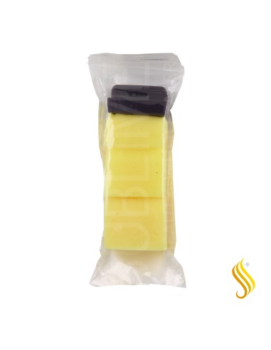 Xanitlia Pro 3 Permanent Sponges + Support