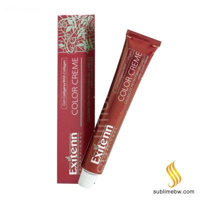 Exitenn Color Creme 60ml, Cor 12/0.03