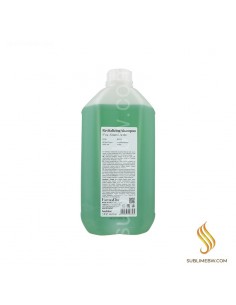 Farmavita Back Bar Nº/04 Shampooing Revitalisant 5L (Usage Quotidien)