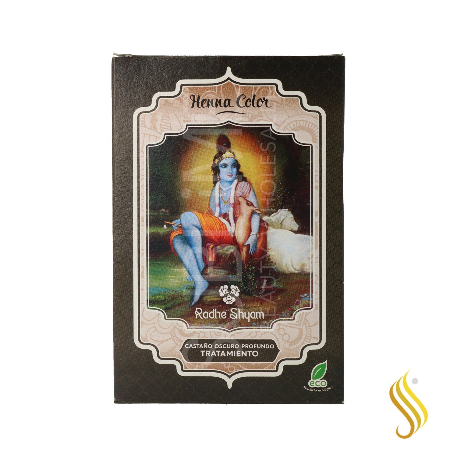 Radhe Shyam Henna Powder Dark Brown Deep Treatment 100G (2-Bags)
