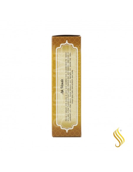 Radhe Shyam Henna Poeira Louro Cinza 100G