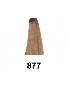 Exitenn Color Permanente 60ml, Color 877 2
