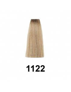 Exitenn Color Permanente 60ml, Color 1122 2
