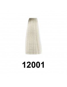 Exitenn Color Permanente 60ml, Color 12001 2