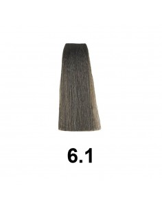 Exitenn Color Permanente 60ml, Cor 6,1 2