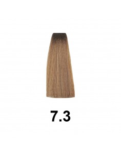 Exitenn Color Permanente 60ml, Color 7,3 2