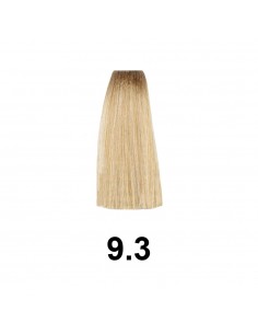 Exitenn Color Permanente 60ml, Cor 9,3 2