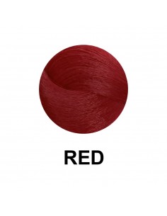 Dikson Color Writer Vermelho/rede 100 Ml 2