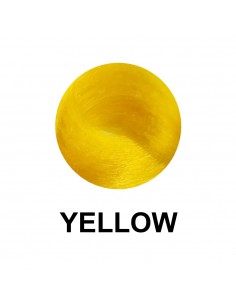 Dikson Couleur Writer Jaune / Yellow 100 Ml 2