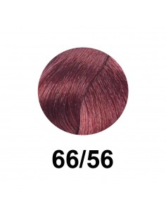 Lisap Easy Absolute 3 60ml, Color 66/56 Rubio Oscuro Rosa... 2