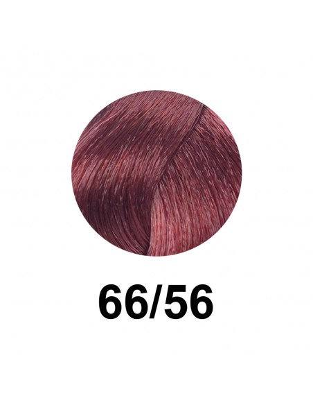 Lisap Easy Absolute 3 60ml, Cor 66/56 Rubio Escuro Rosa Quartzo