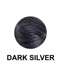 Dikson Color Writer - Dark Silver 100 ml 2