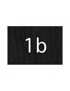X-pression 1b 2