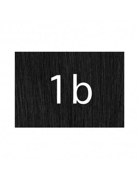 X-pression 1b
