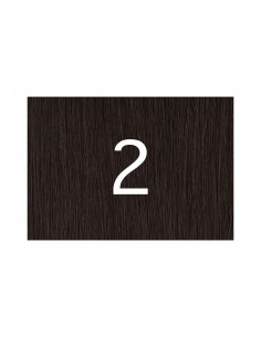 X-pression 2 2