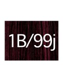 X-Pression 1b/99j