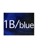 X-Pression 1b/bleu