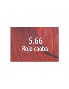Pure Green 100 ml, Color 5.66
