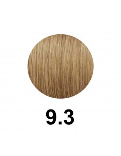 Revlon Pro You The Color Maker 9.3/9G