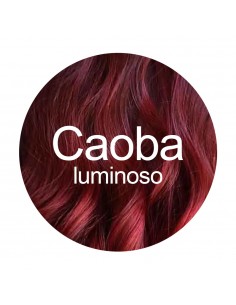 Radhe Shyam Henna Poudre Acajou Brillant 100G