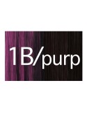 X-pression 1b/VIOLETA