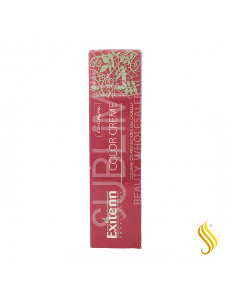 Exitenn Color Creme 60 ml Color 12/0.22