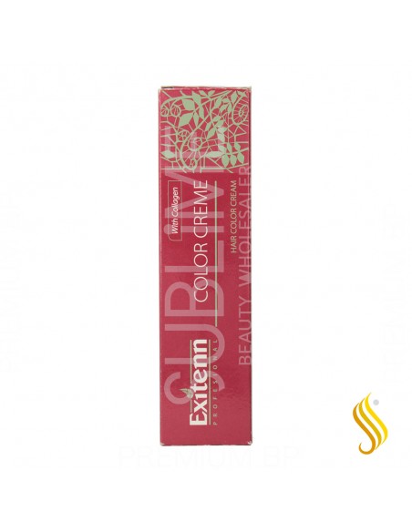 Exitenn Color Creme 60 ml Color 12/0.22