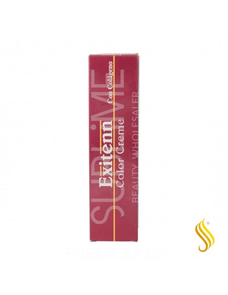 Exitenn Color Creme 60 ml Color 10.00