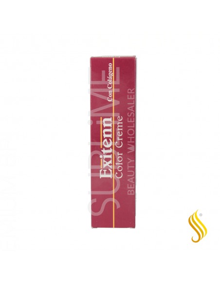 Exitenn Color Creme 60 ml Color 11/0.092