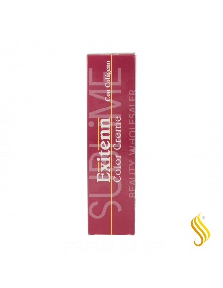 Exitenn Color Creme 60 ml Color 10/0.070