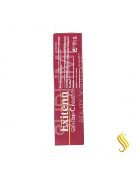 Exitenn Color Creme 60 ml Color 10/0.070