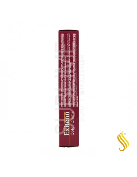 Exitenn Color Creme 60 ml Color 10/0.070