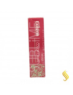 Exitenn Color Creme 60ml Color 90ex Plata Estelar