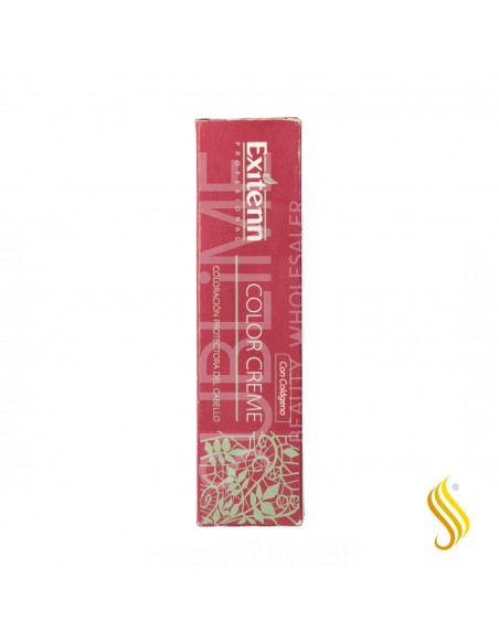 Exitenn Color Creme 60ml Color 90ex Plata Estelar