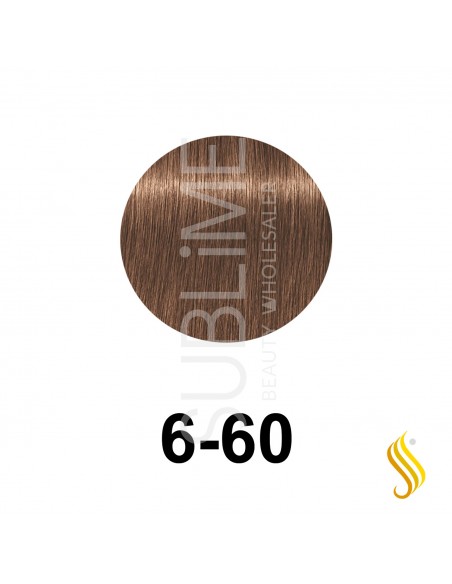 Schwarzkopf Igora Royal Absolutes 60ml, Cor 6-60