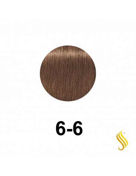 Schwarzkopf Igora Royal 60 Ml, Color 6-6
