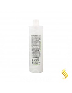 Exitenn Xampu Regulador Graso 1000 Ml
