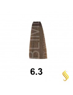 Exitenn Color Creme 60ml, Cor 6.3 Dark Gold Blond