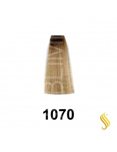 Exitenn Color Creme 60ml, Color 1070 Cacao Natural (ant.10,0.070)