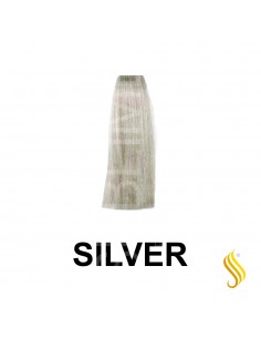 Exitenn Color Creme 60ml, Cor Silver