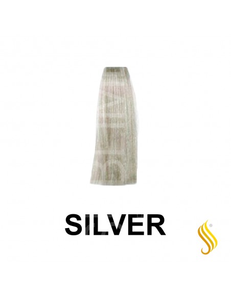 Exitenn Color Creme 60ml, Cor Silver