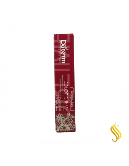 Exitenn Color Creme 60ml, Color 10001 Silver Nordic