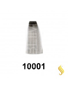 Exitenn Color Creme 60ml, Color 10001 Silver Nordic