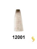 Exitenn Color Creme 60ml, Color 12001 Plata Ceniza