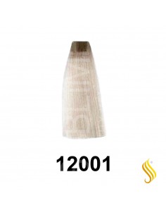 Exitenn Couleur Creme 60ml, Couleur 12001 Argent Ash