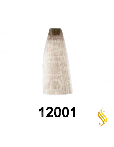 Exitenn Color Creme 60ml, Color 12001 Plata Ceniza
