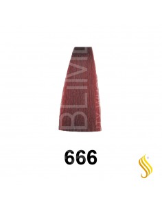 Exitenn Color Creme 60ml, Color 666 Red Rubi